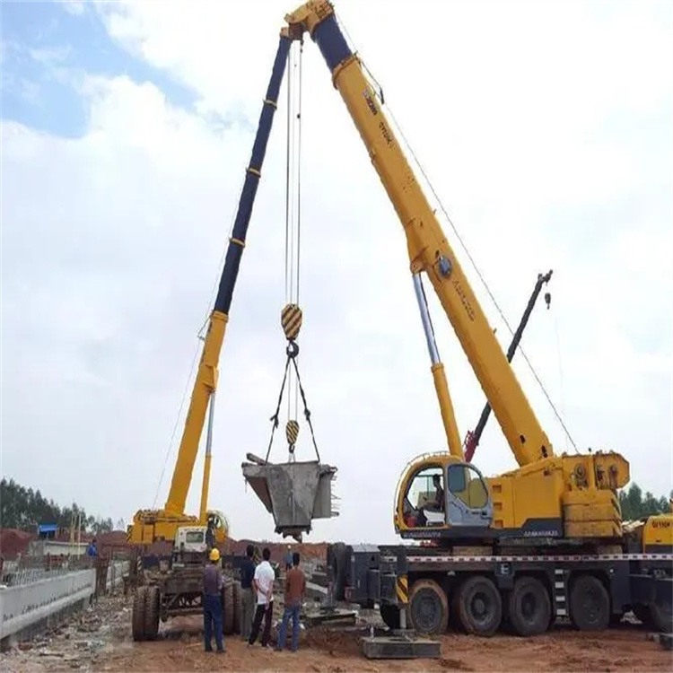 万宁小型吊机出租电话|厂房设备吊装方案|24小时服务覆盖